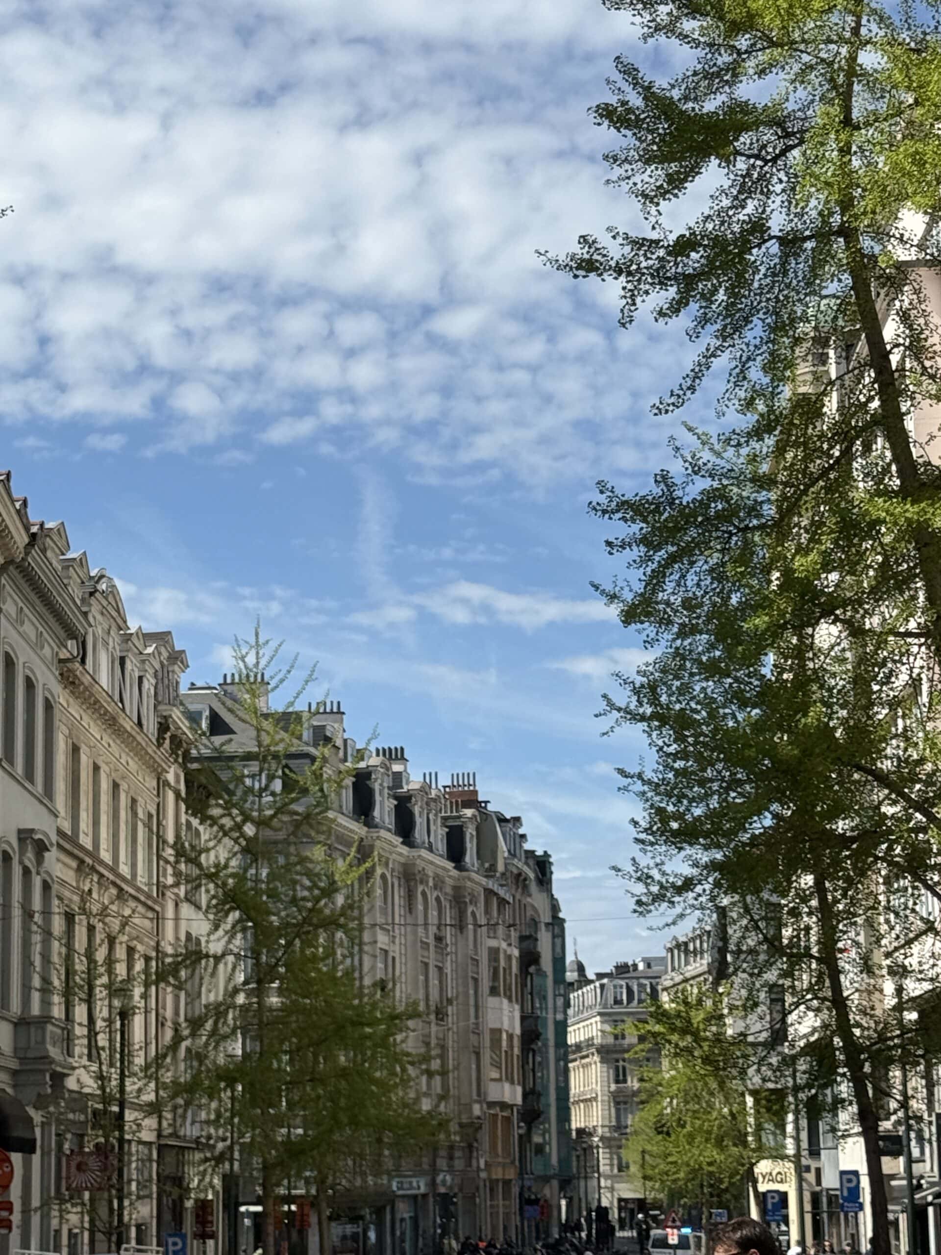 Paris street view with classic architecture, lush green trees, and a bright blue sky with scattered clouds, capturing the charm of a European cityscape.