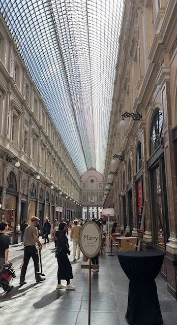 Discover best things to do in Brussels Belgium, from historic squares, world-famous waffles, hidden gems, chocolate shops, museums, and local experiences.